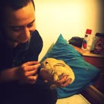 Alpay