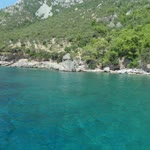 Şazican