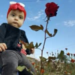 Gülsüm