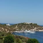 Dildara