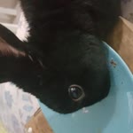 Kayra