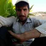 İbrahim
