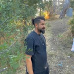 Olgun