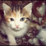 Gizem