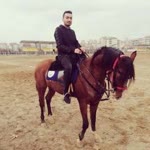 Halil