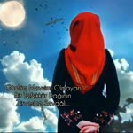 Hasbi