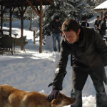 Murat