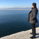 Şahin