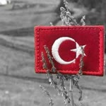 Celal