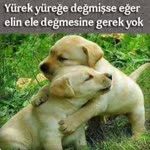 Kadriye