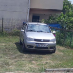 Murat