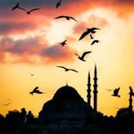 Rabia