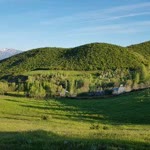 Süleyman