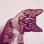 Ceren