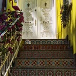 Ayşegül