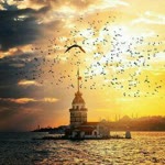 Toprağın