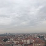 Barış