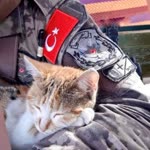 Beyza