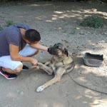 Gökhan