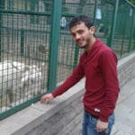 Murat