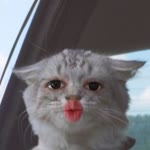 Selin