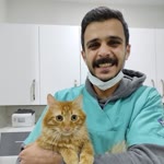 Ertuğrul