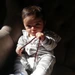 Fidan