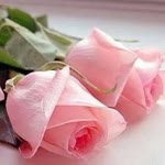 Amine