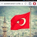 Halil