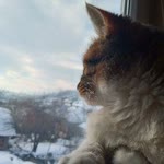 Kamil