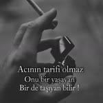 Soysal