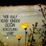 Halide