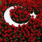 Yıldız