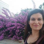 Güneş