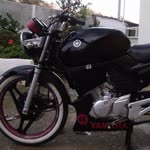 Celal