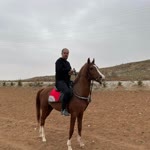 Metin