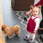 Hatice