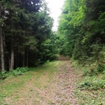 Zeki
