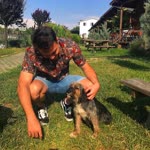 Mert