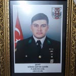 Halit