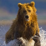 Nurettin