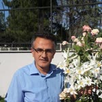 İsmail