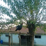Yusuf