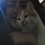 İdal