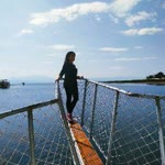 Ayşe