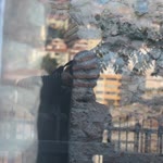Elif