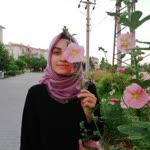 Elifnur