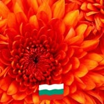 Kıymet