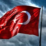 Doğan