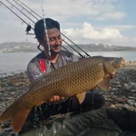Murat